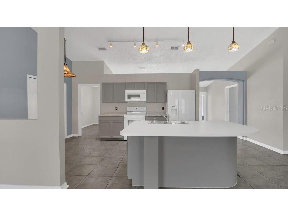 1194 Balfour Drive Deltona FL 32725 V4942745 image4