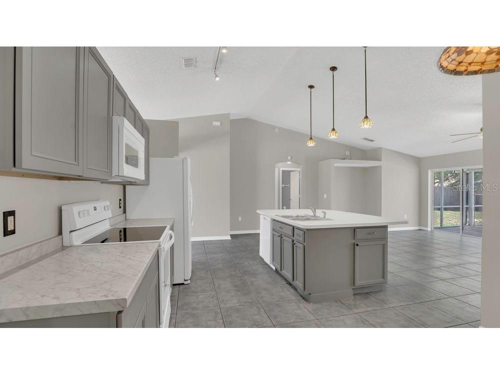 1194 Balfour Drive Deltona FL 32725 V4942745 image6