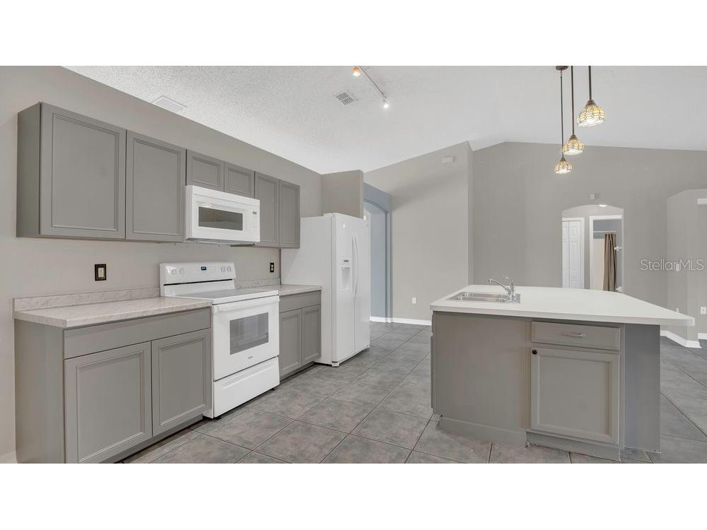 1194 Balfour Drive Deltona FL 32725 V4942745 image8