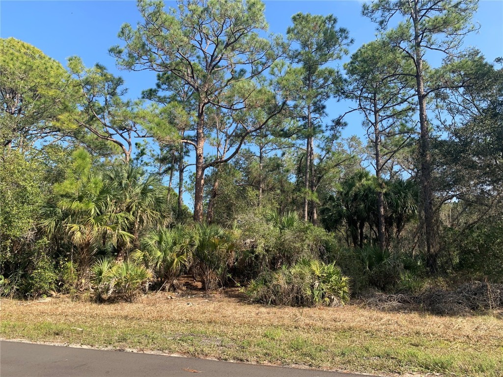 1194 Mallet Lane Port Charlotte FL 33953 N6137031 image2