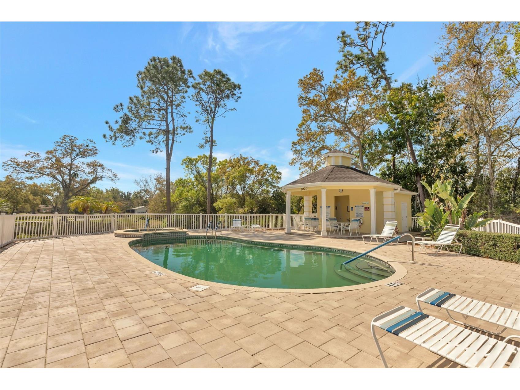 1194 Royal Boulevard Palm Harbor FL 34684 TB8484044 image39