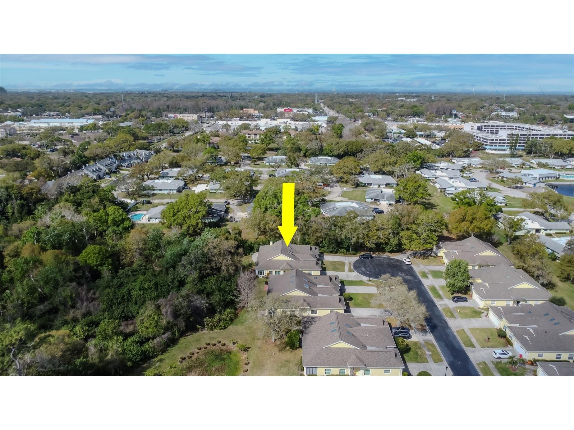 1194 Royal Boulevard Palm Harbor FL 34684 TB8484044 image45