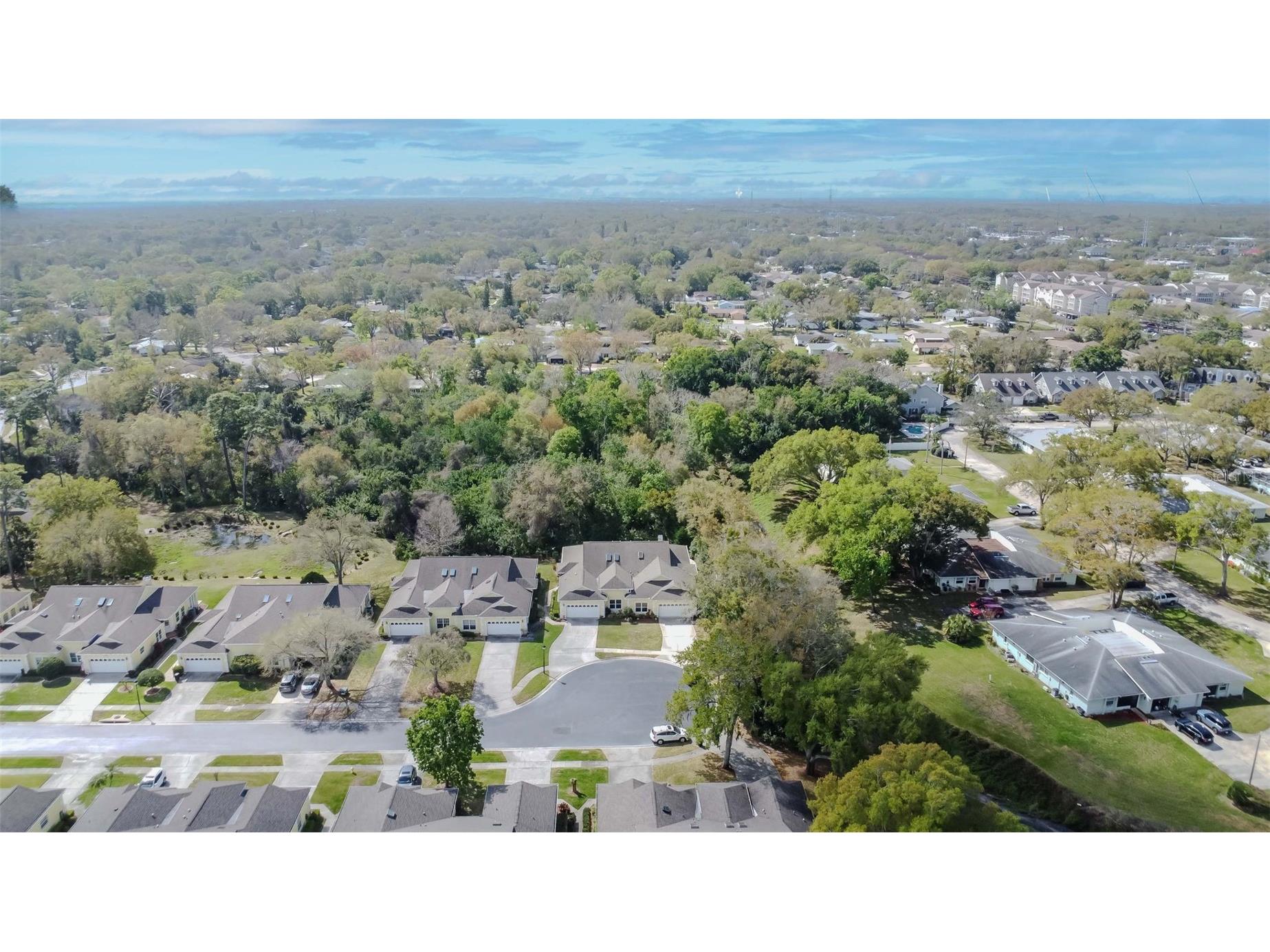 1194 Royal Boulevard Palm Harbor FL 34684 TB8484044 image46