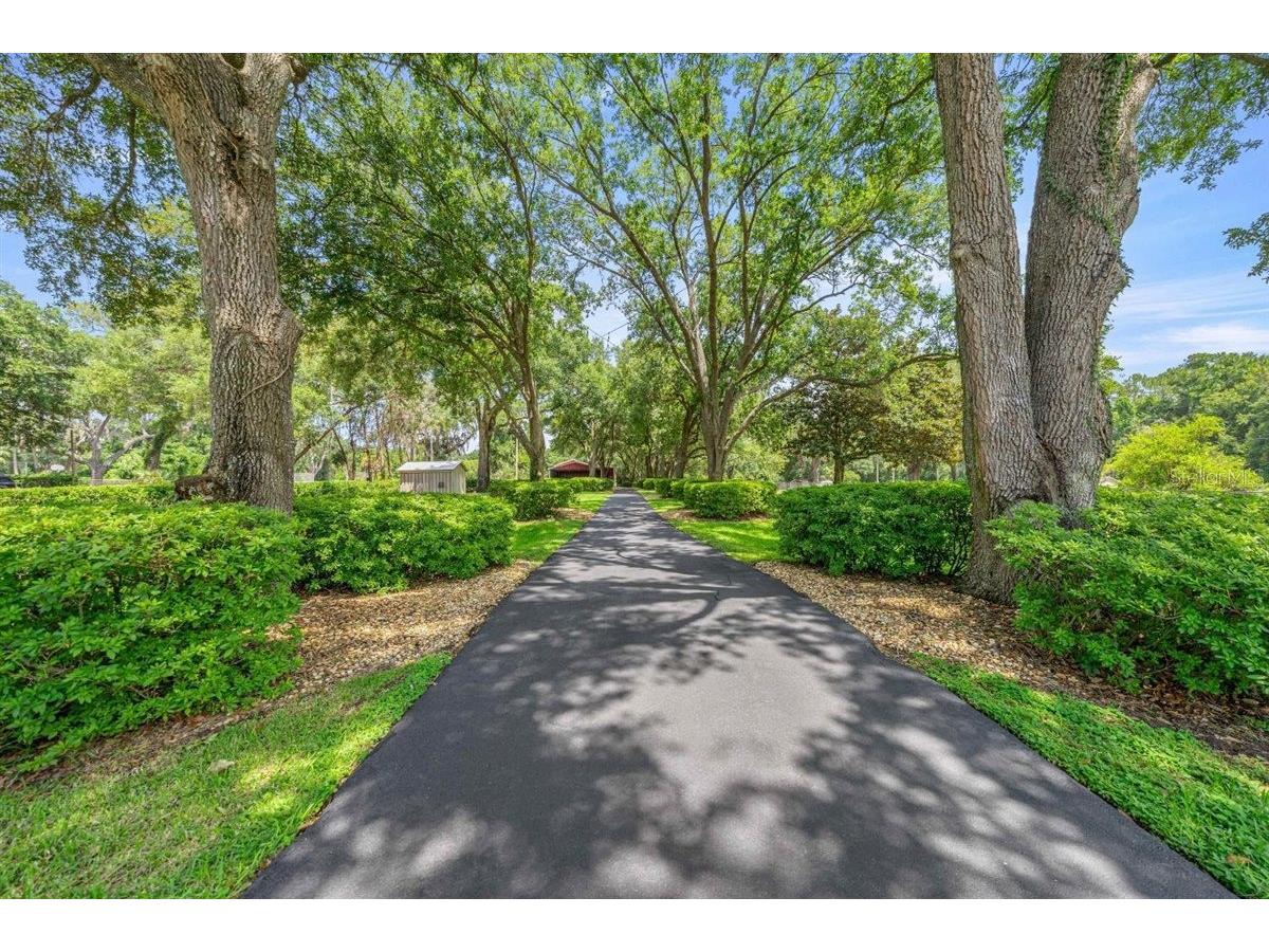 11940 SE 128th Place Road Ocklawaha FL 32179 - LAKE WEIR OM728200 image13