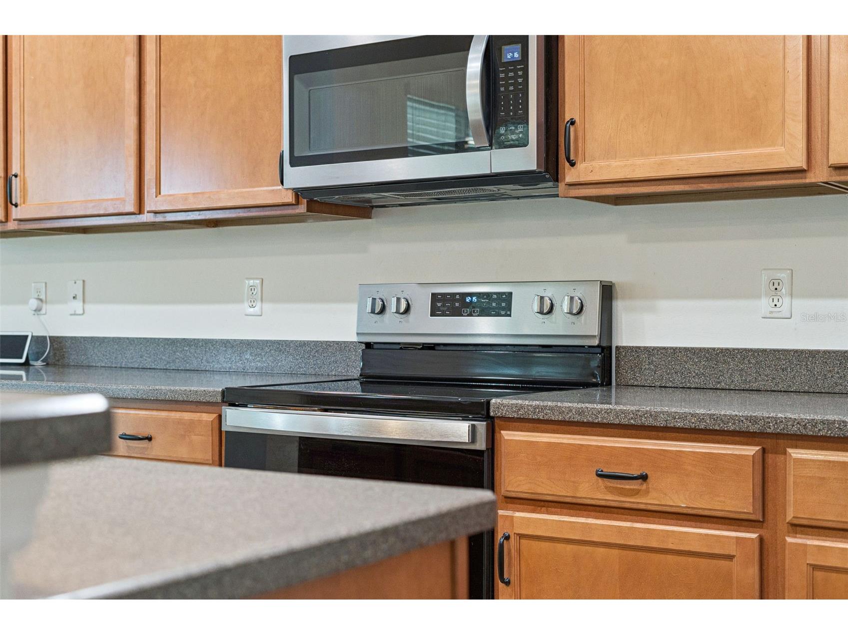 11943 Verrazano Drive Orlando FL 32836 O6380857 image17