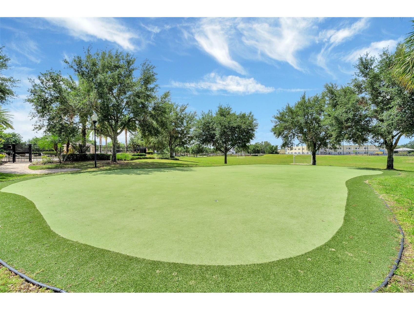 11943 Verrazano Drive Orlando FL 32836 O6380857 image45