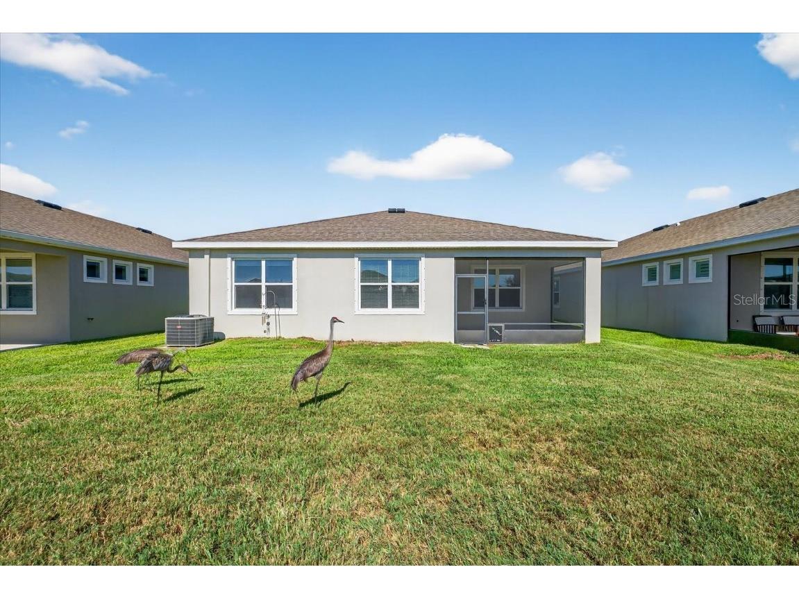 11944 Cross Vine Drive Riverview FL 33579 TB8410707 image27