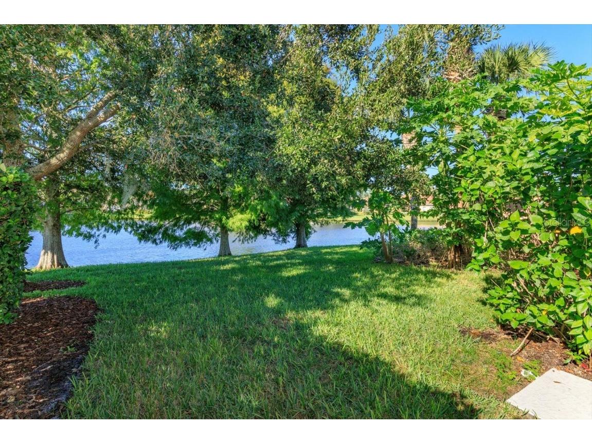 11944 Iselle Drive Orlando FL 32827 O6348466 image25