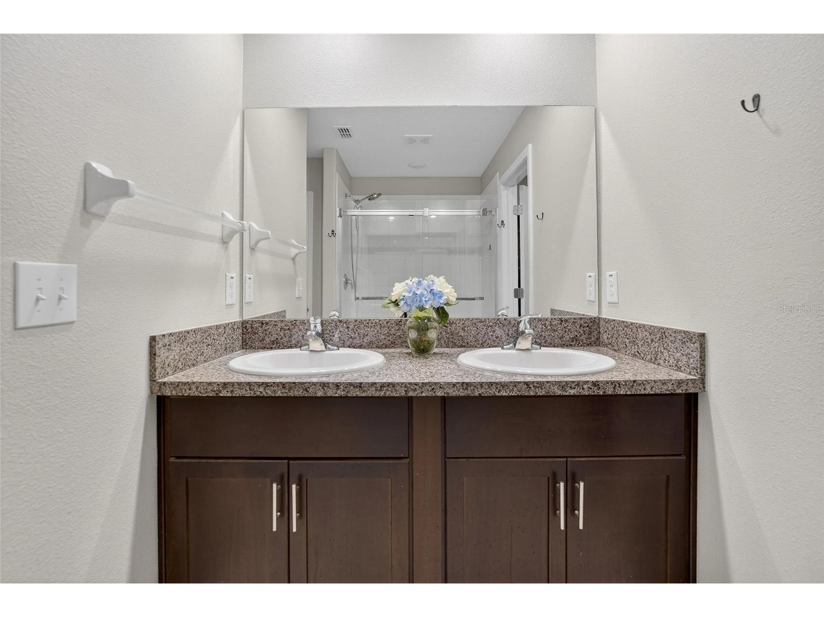 11944 Miracle Mile Drive Riverview FL 33578 TB8477477 image19