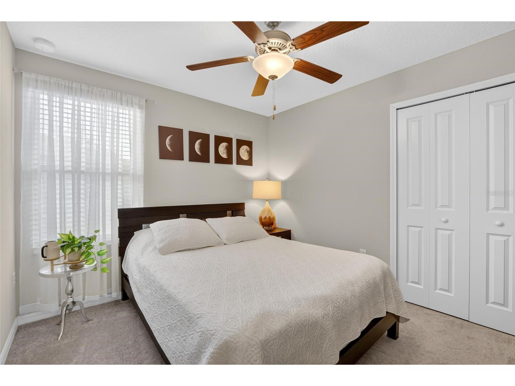 11944 Miracle Mile Drive Riverview FL 33578 TB8477477 image21