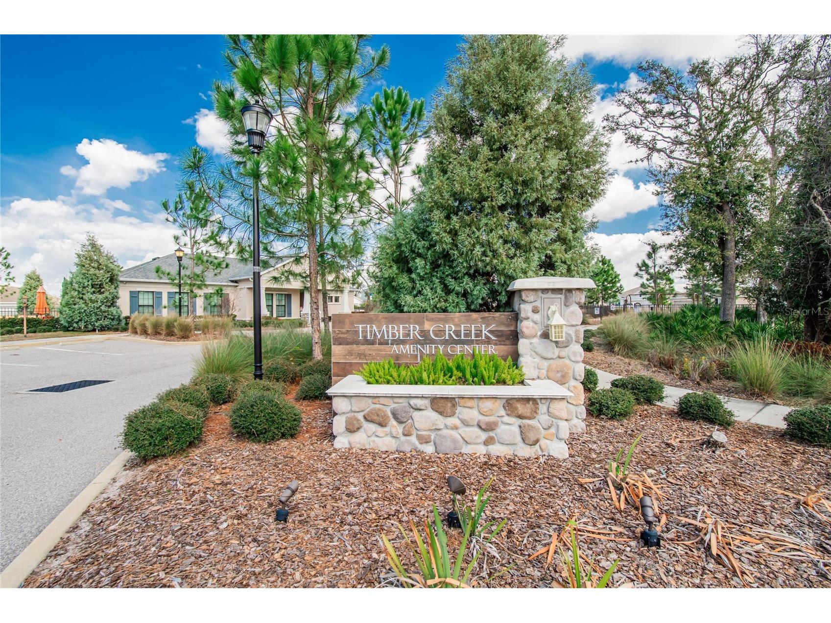 11944 Miracle Mile Drive Riverview FL 33578 TB8477477 image29