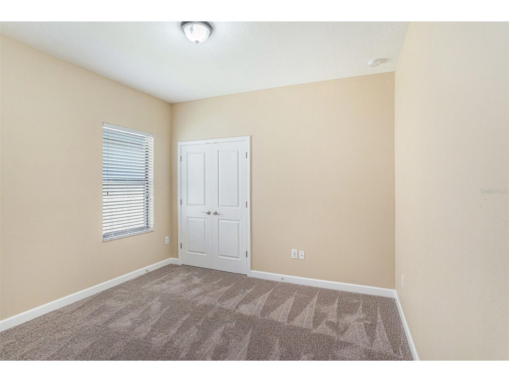 11944 N Cinnamon Fern Drive Riverview FL 33579 O6389263 image13