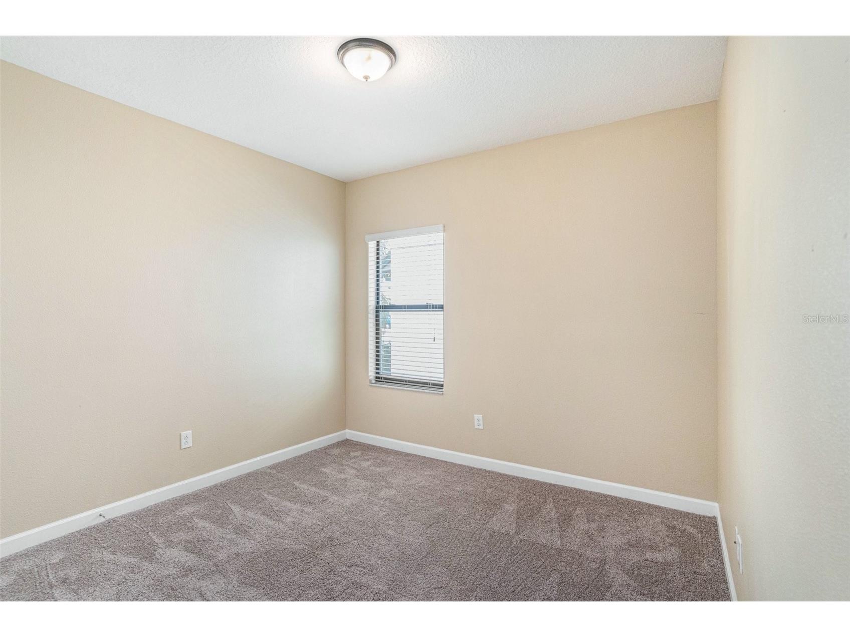 11944 N Cinnamon Fern Drive Riverview FL 33579 O6389263 image15