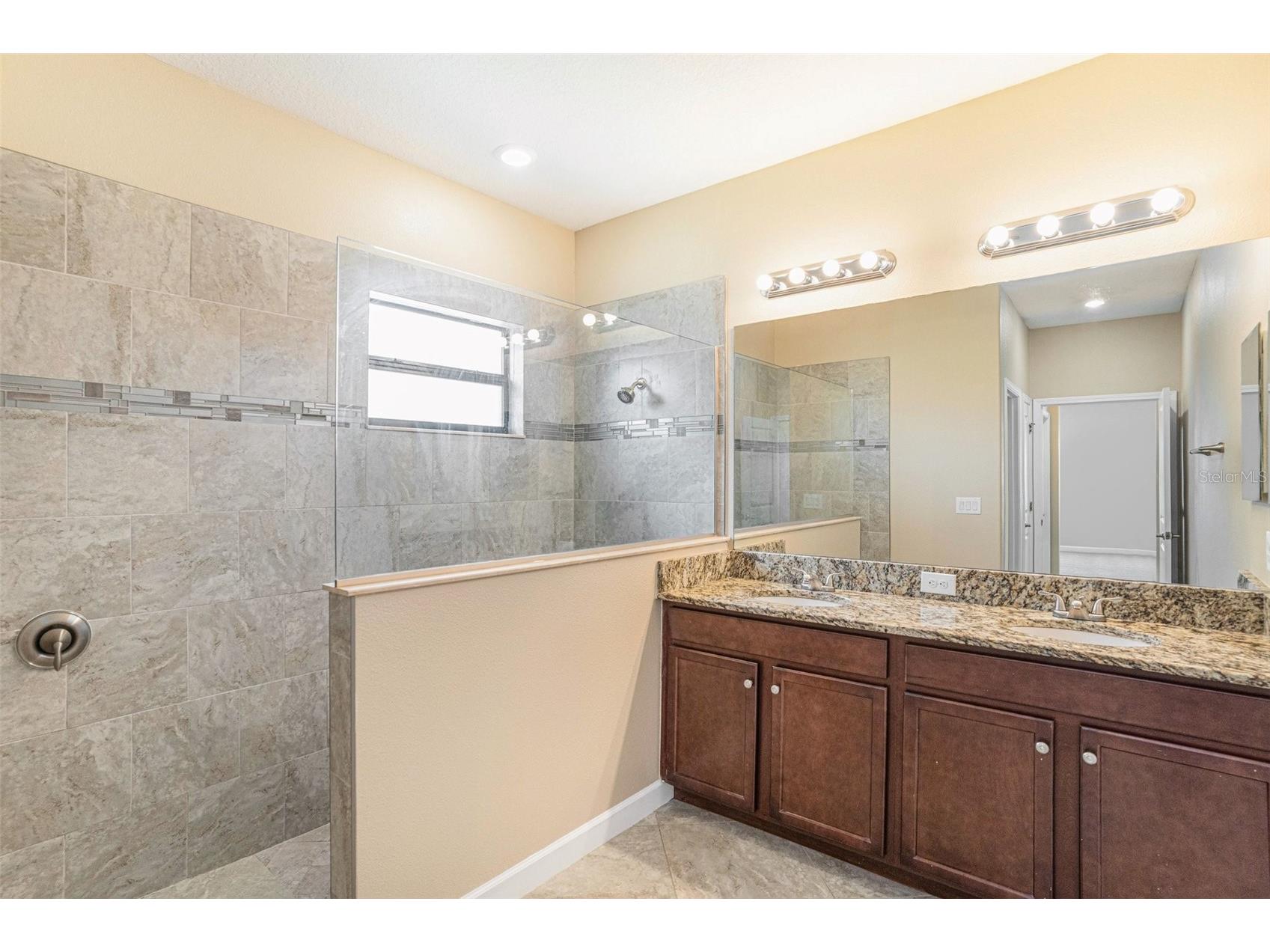 11944 N Cinnamon Fern Drive Riverview FL 33579 O6389263 image21