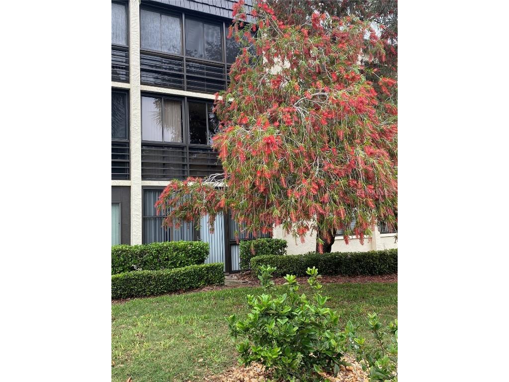 11945 143rd Street N #7120 Largo FL 33774 U8235883 image1