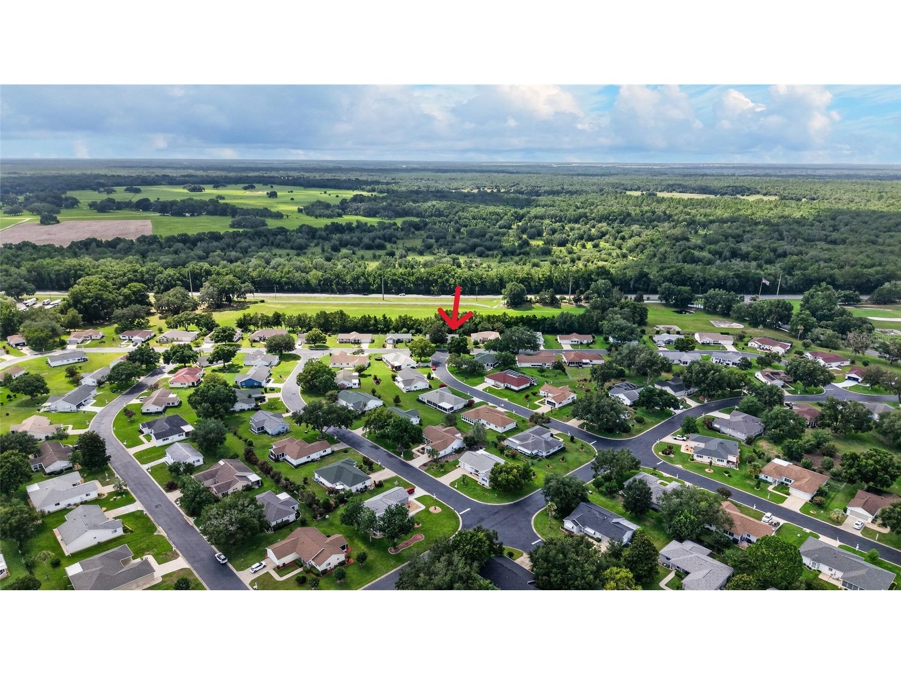 11946 SW 137th Loop Dunnellon FL 34432 OM726305 image3
