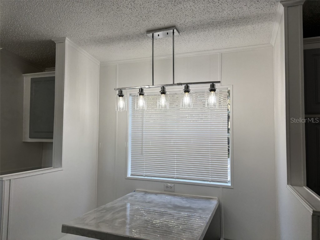 11947 Panama Avenue New Port Richey FL 34654 - Moon Lake W7877211 image9