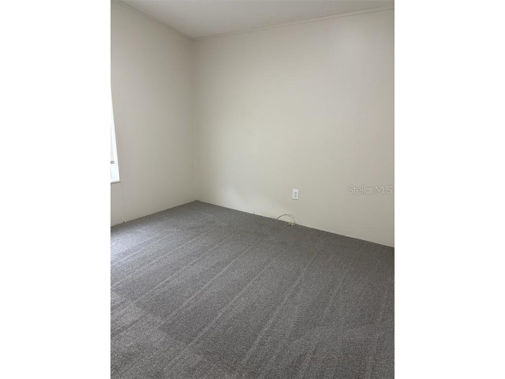 11947 Panama Avenue New Port Richey FL 34654 - Moon Lake W7877339 image5