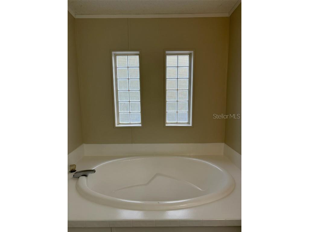 11947 Panama Avenue New Port Richey FL 34654 - Moon Lake W7877339 image8