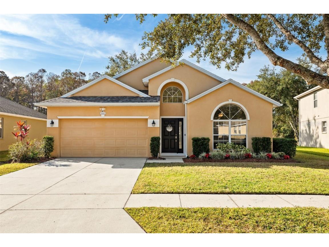 11948 Palm Bay Court New Port Richey FL 34654 TB8329309 image1