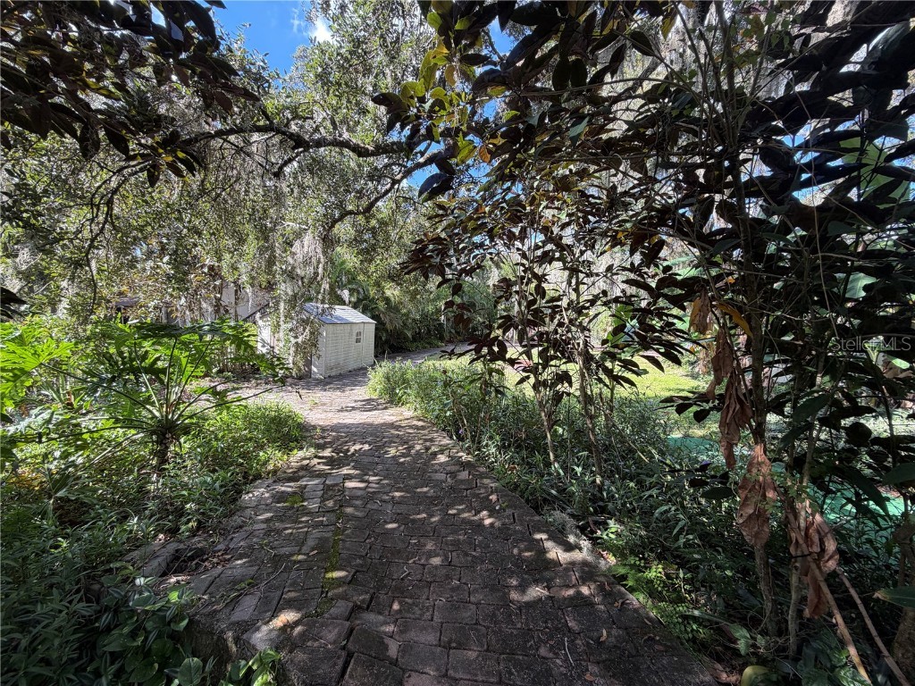 11949 Riverhills Drive Temple Terrace FL 33617 TB8408425 image60