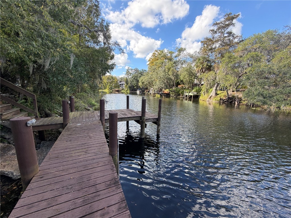 11949 Riverhills Drive Temple Terrace FL 33617 TB8408425 image65