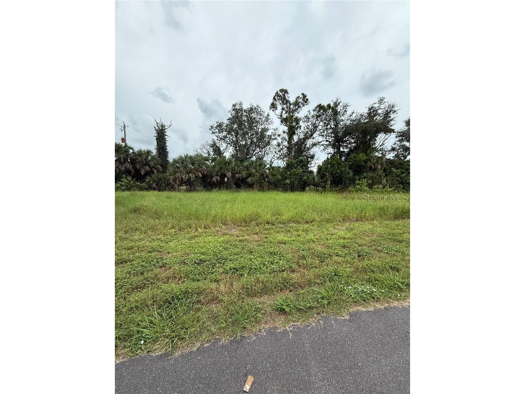 1195 Andrews Street Englewood FL 34224 D6143842 image1