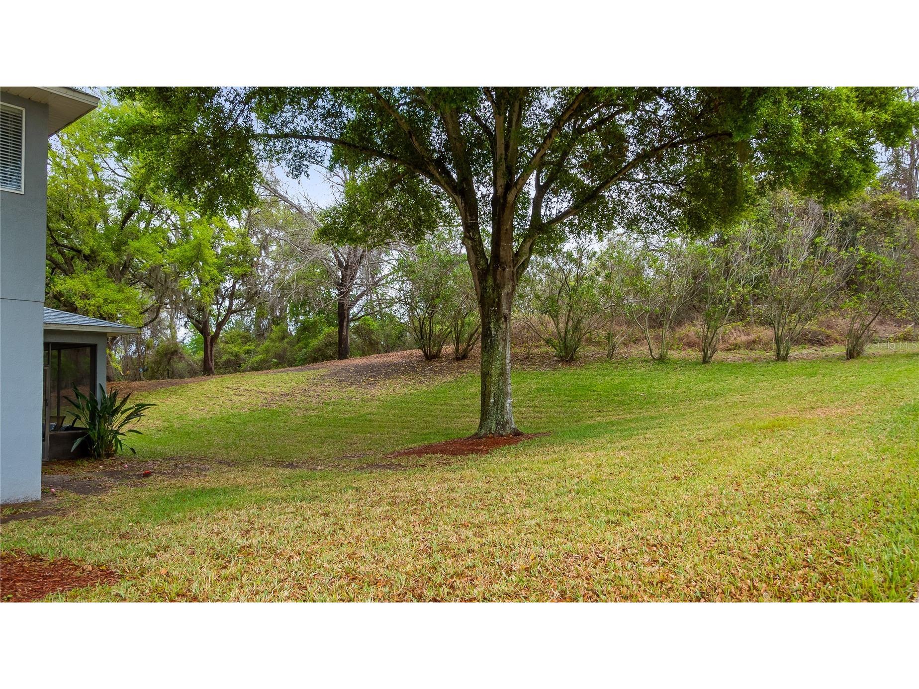 1195 Brentwood Drive Clermont FL 34711 G5109757 image37