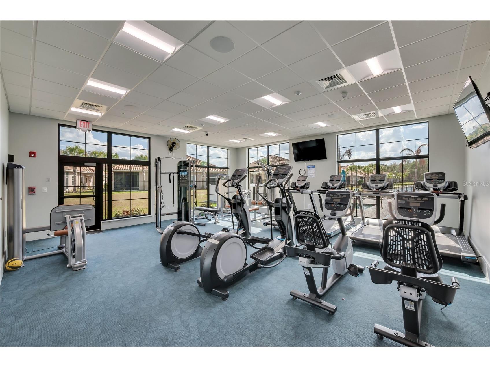 1195 Godavari Way #104 Wesley Chapel FL 33543 TB8481868 image40
