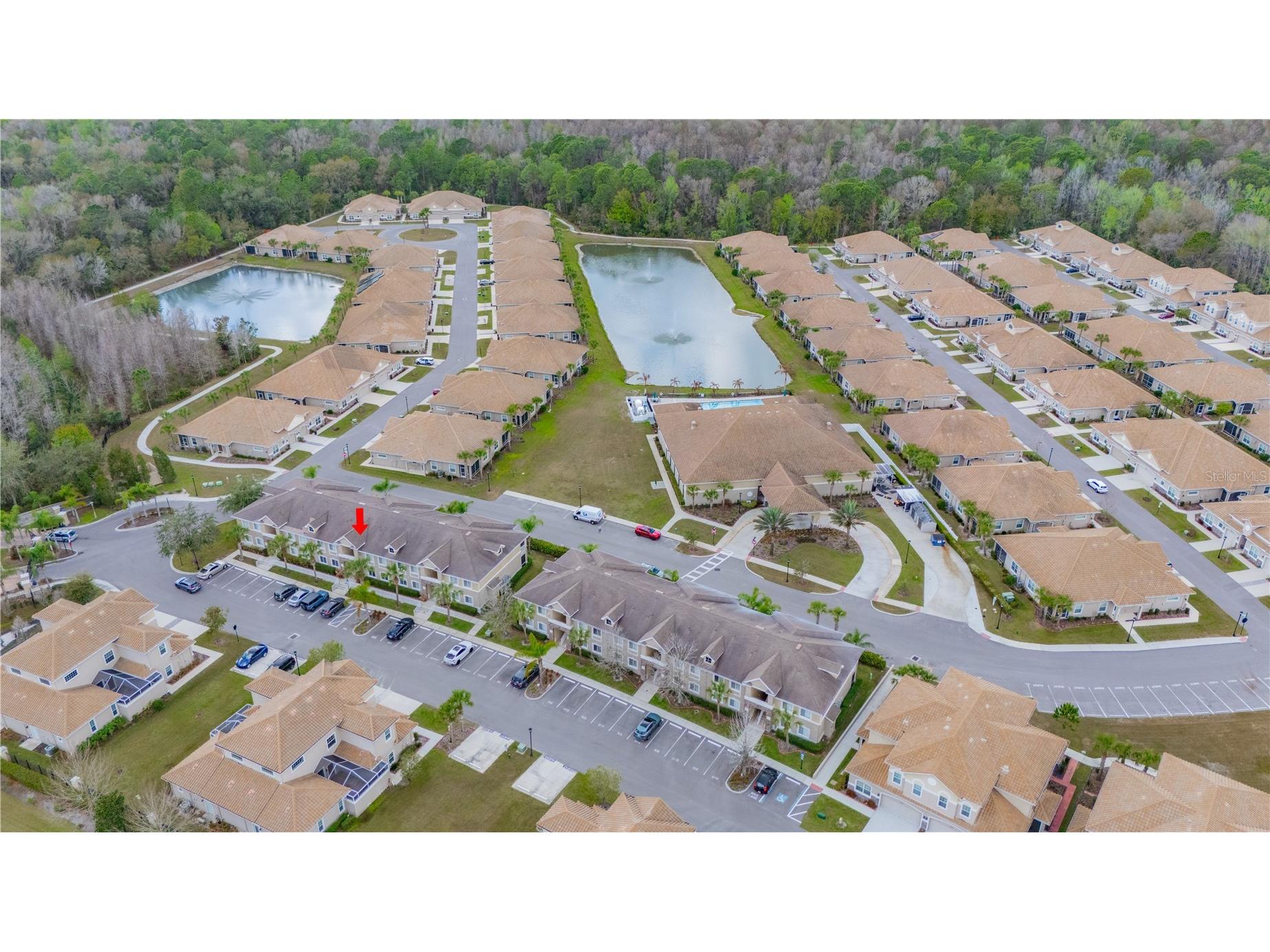 1195 Godavari Way #104 Wesley Chapel FL 33543 TB8481868 image6