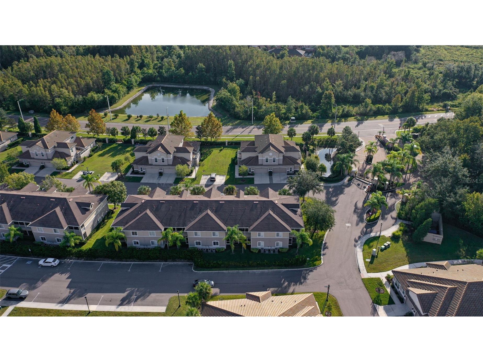 1195 Godavari Way #105 Wesley Chapel FL 33543 TB8508436 image26