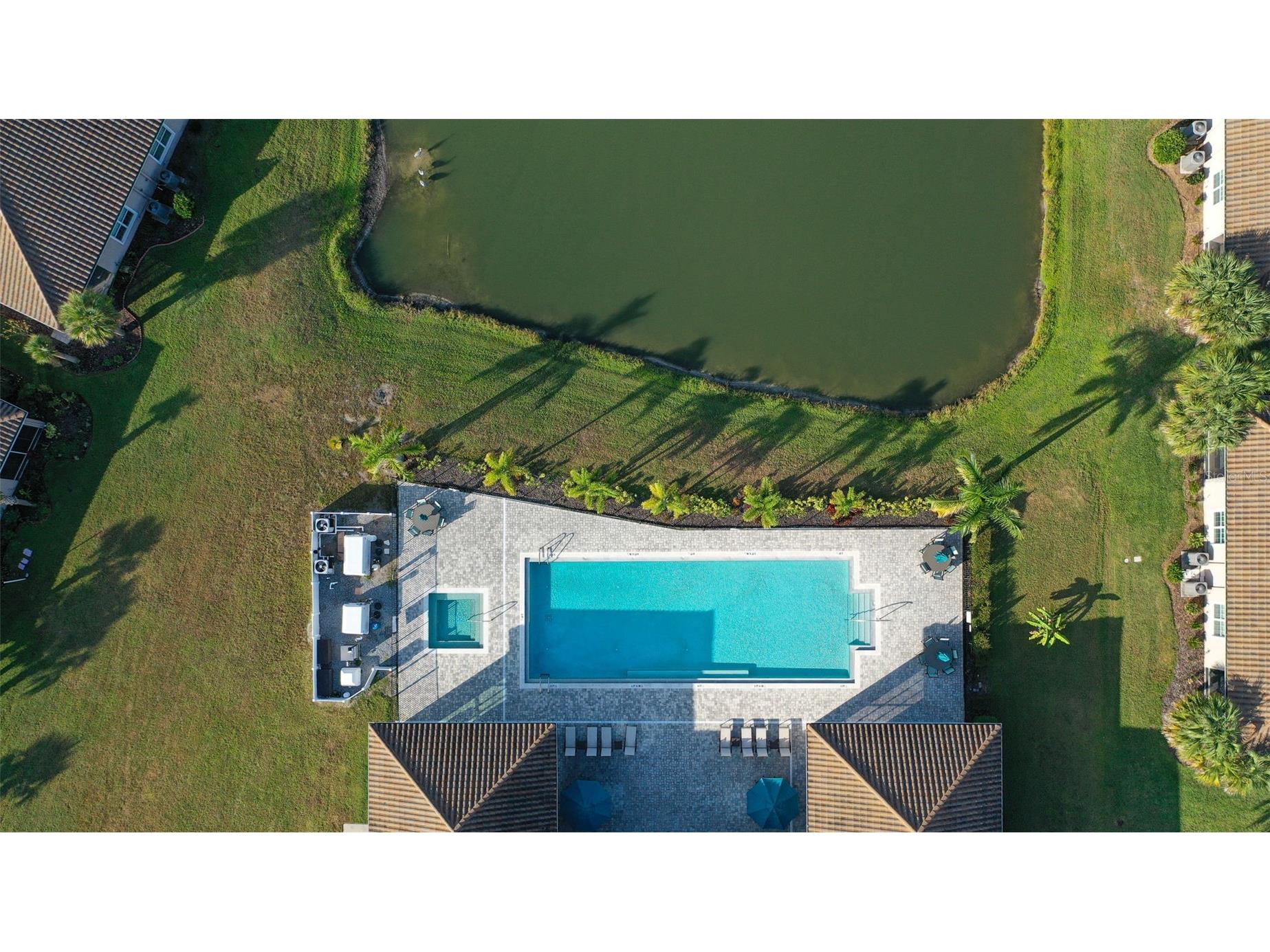 1195 Godavari Way #105 Wesley Chapel FL 33543 TB8508436 image34
