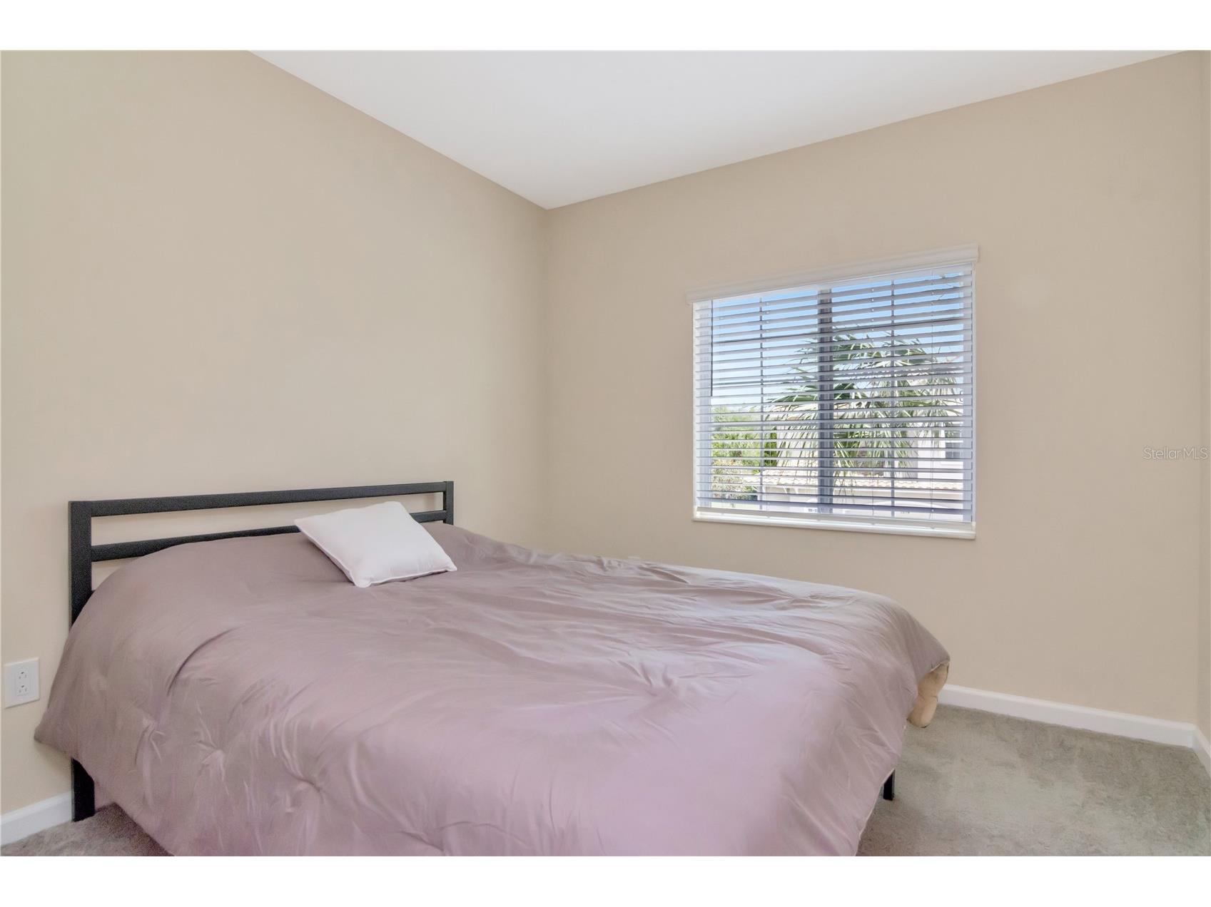 1195 Godavari Way #206 Wesley Chapel FL 33543 TB8494625 image20