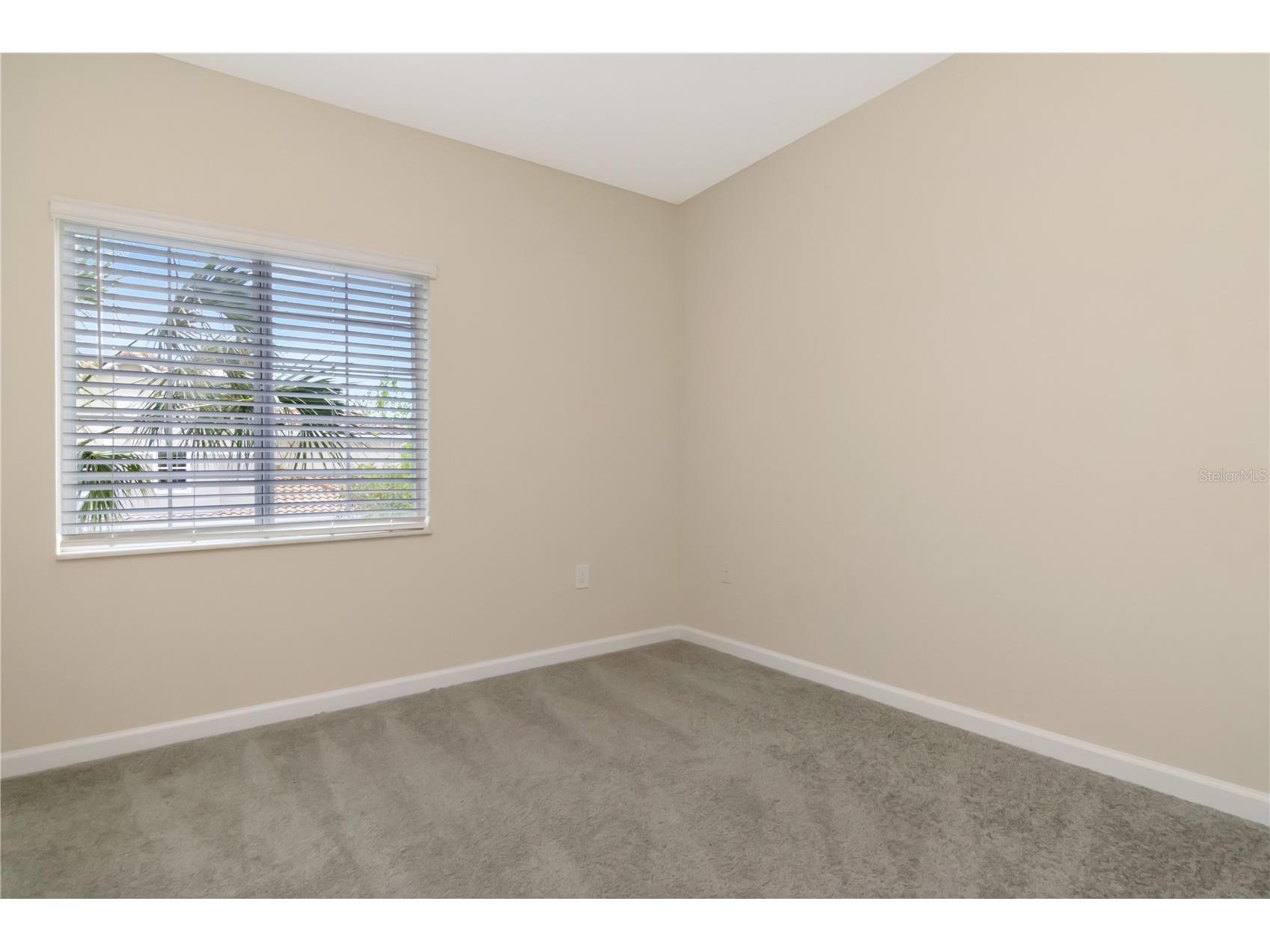 1195 Godavari Way #206 Wesley Chapel FL 33543 TB8494625 image21