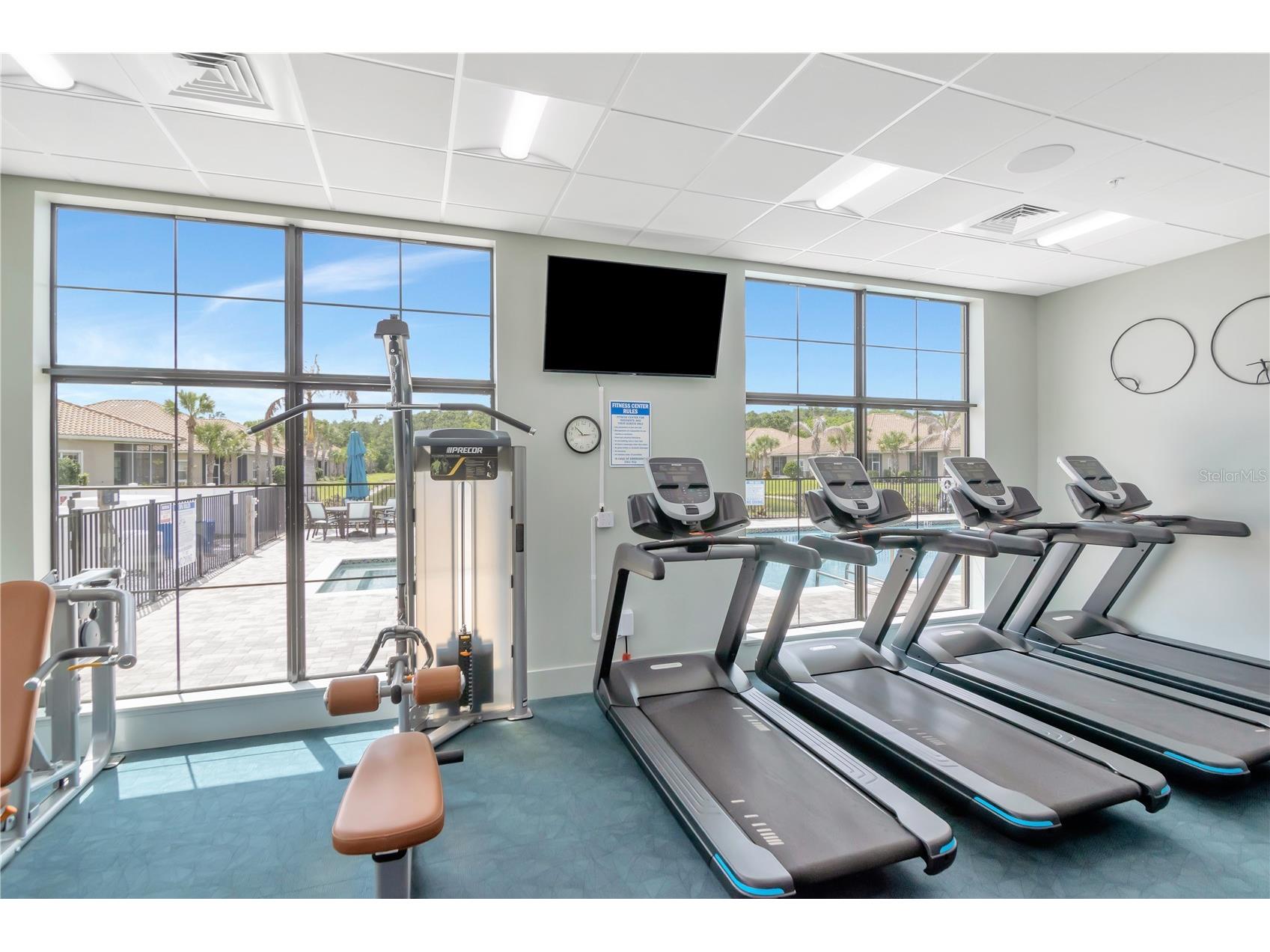 1195 Godavari Way #206 Wesley Chapel FL 33543 TB8494625 image6