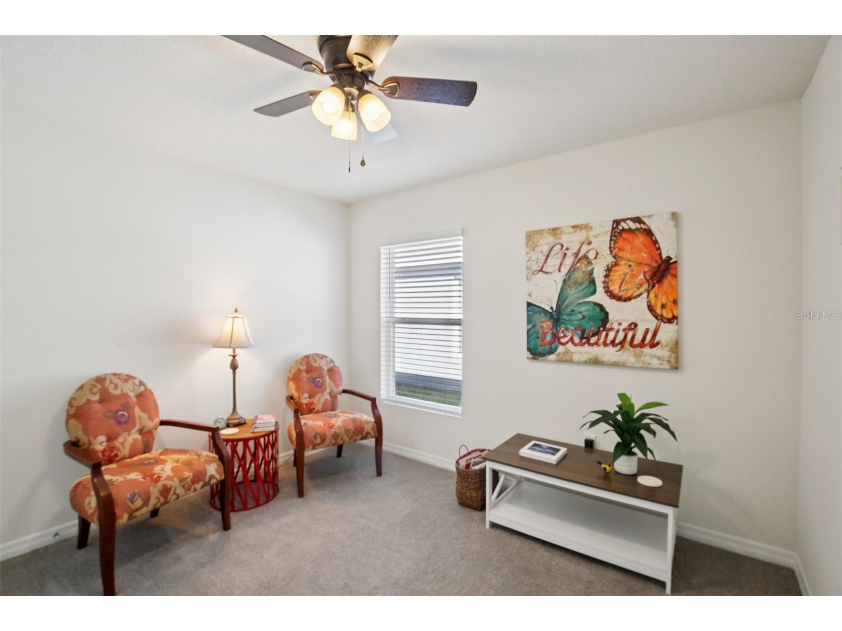 11951 Downy Birch Drive Riverview FL 33569 TB8472295 image18