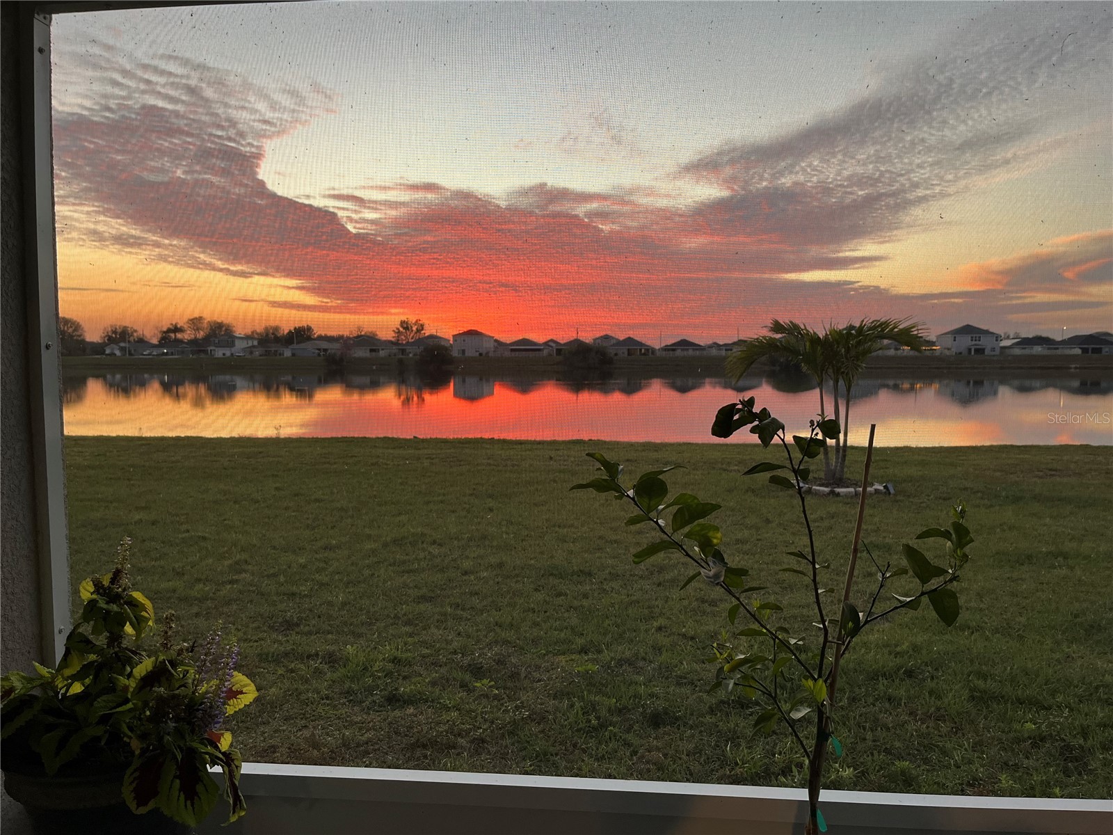 11951 Downy Birch Drive Riverview FL 33569 TB8472295 image32