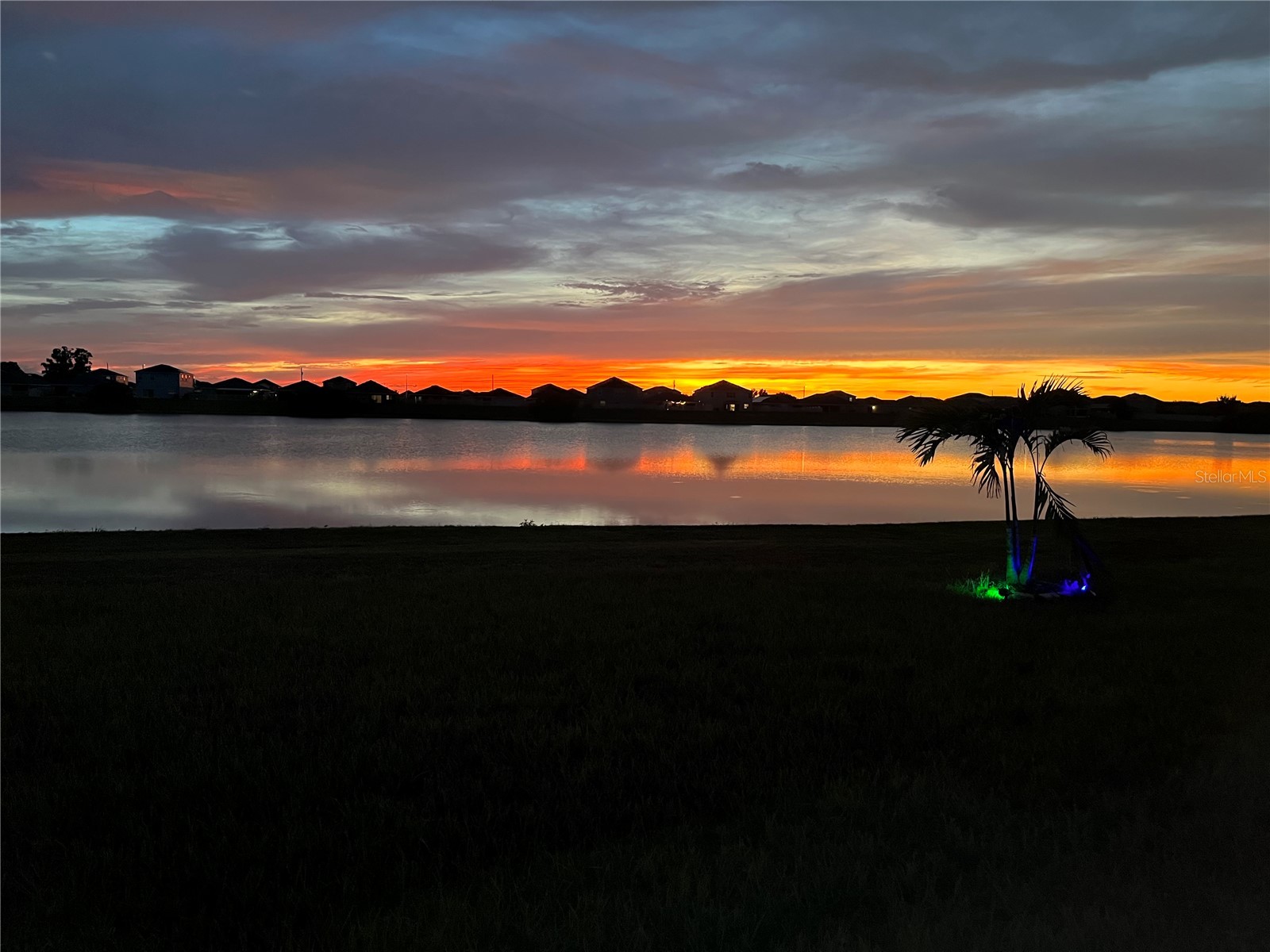 11951 Downy Birch Drive Riverview FL 33569 TB8472295 image33