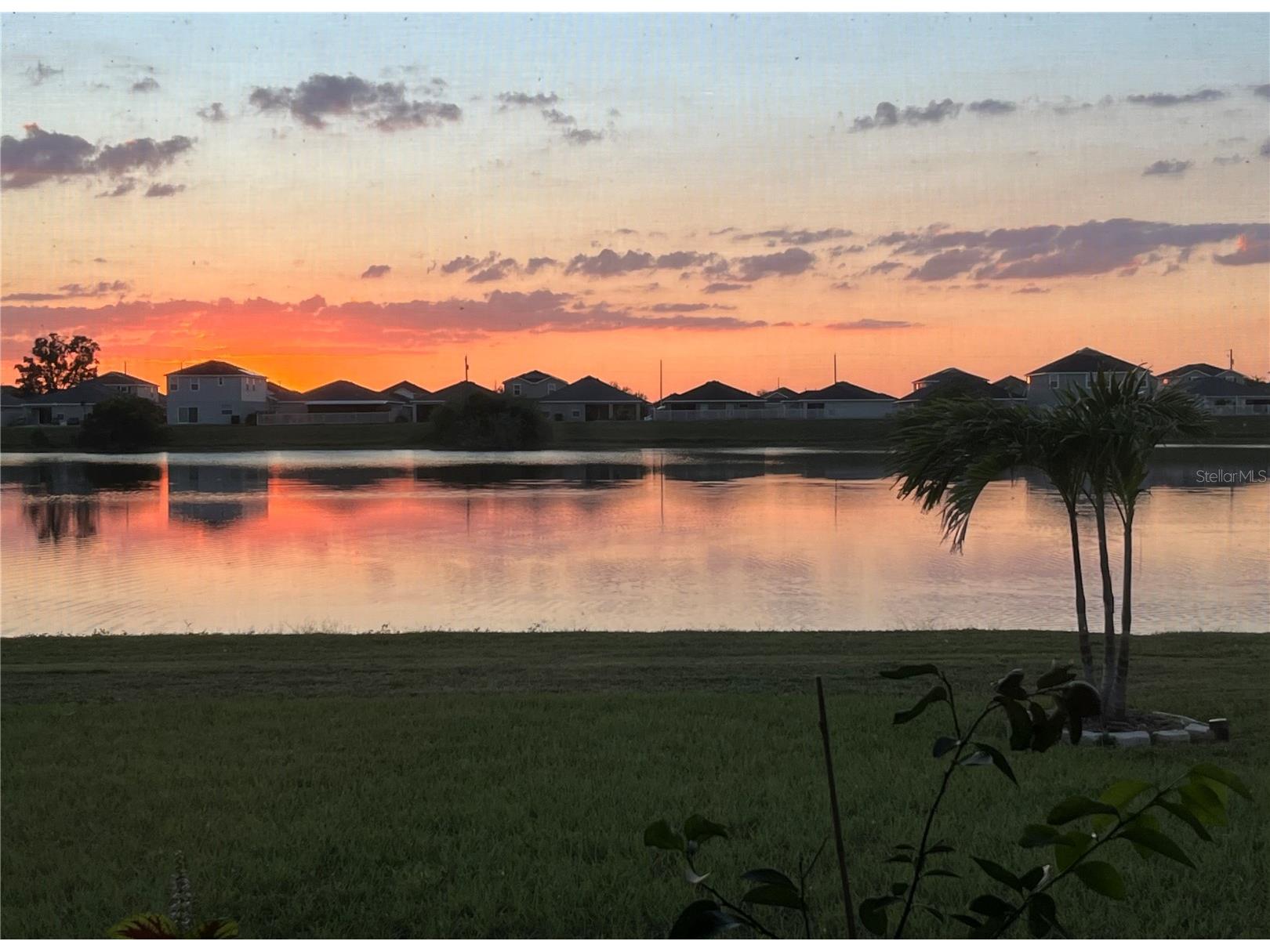 11951 Downy Birch Drive Riverview FL 33569 TB8472295 image34