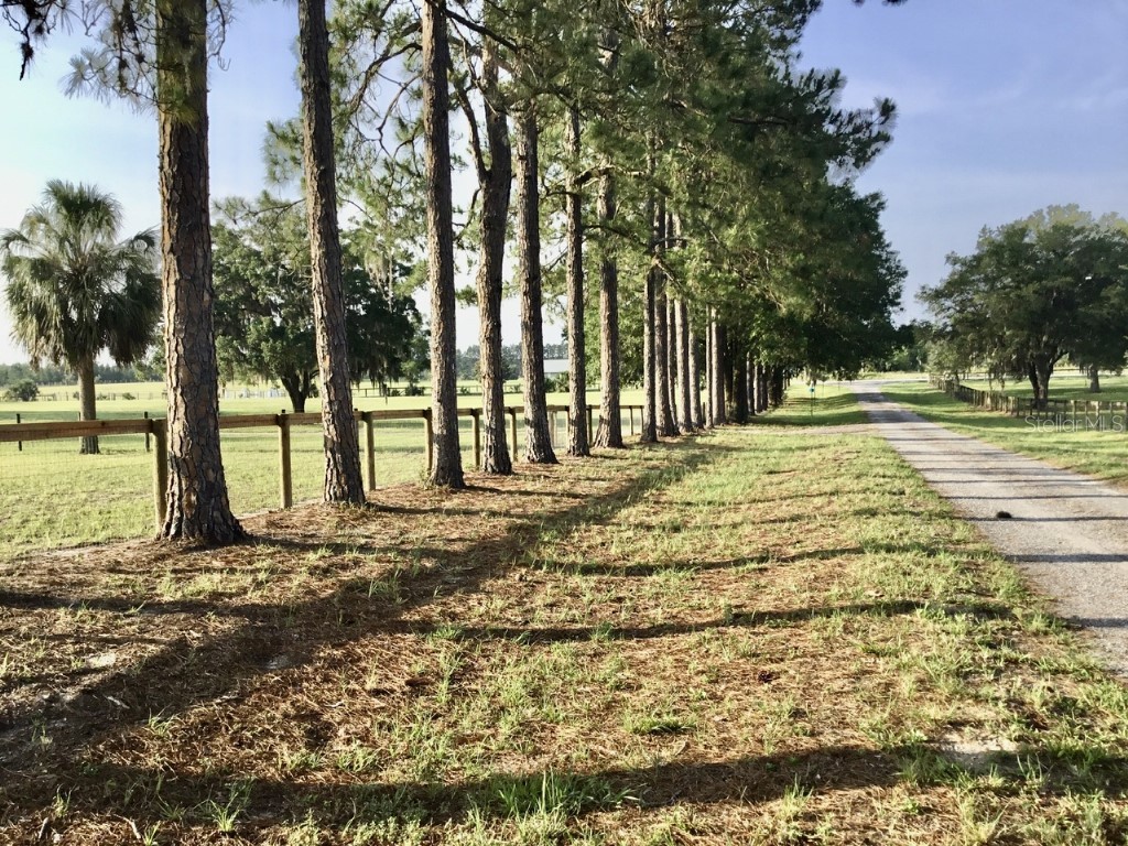 11951 SE 130th Court Dunnellon FL 34431 TB8414543 image31