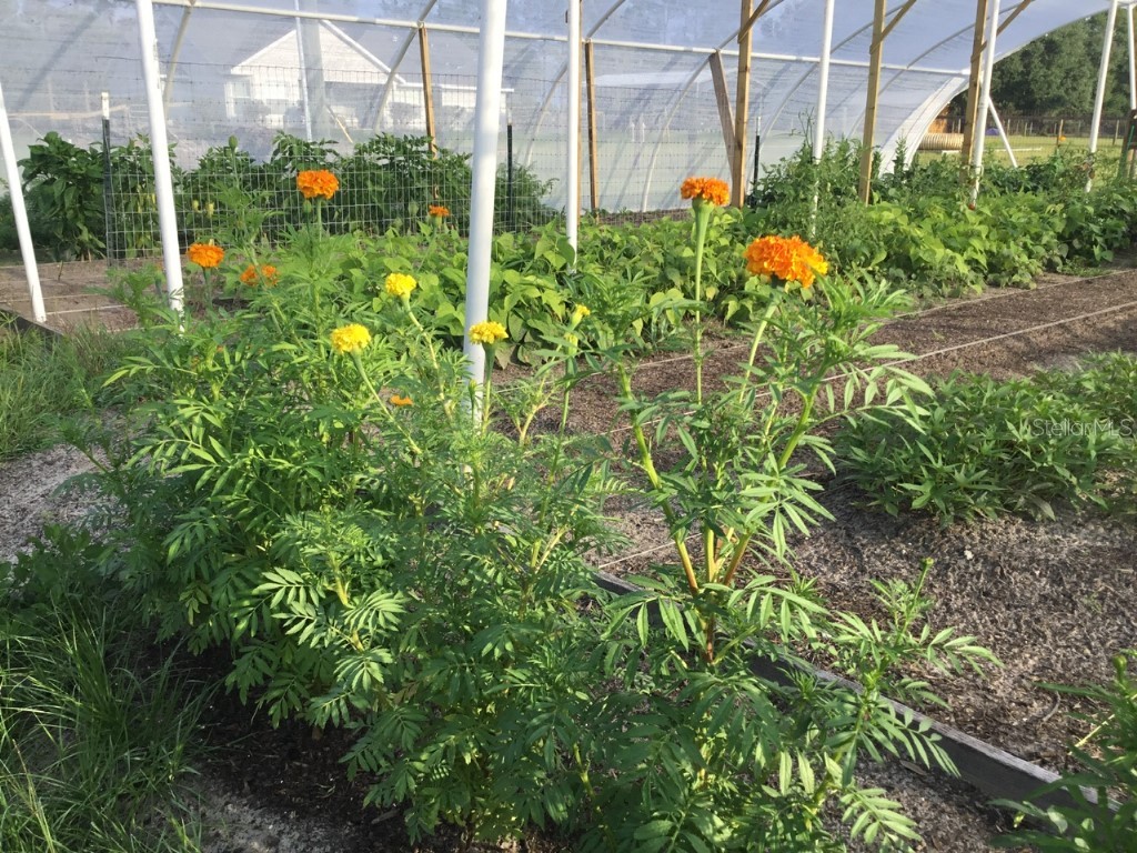 11951 SE 130th Court Dunnellon FL 34431 TB8414543 image39