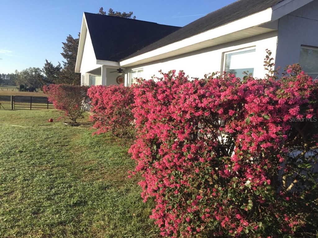 11951 SE 130th Court Dunnellon FL 34431 TB8414543 image8