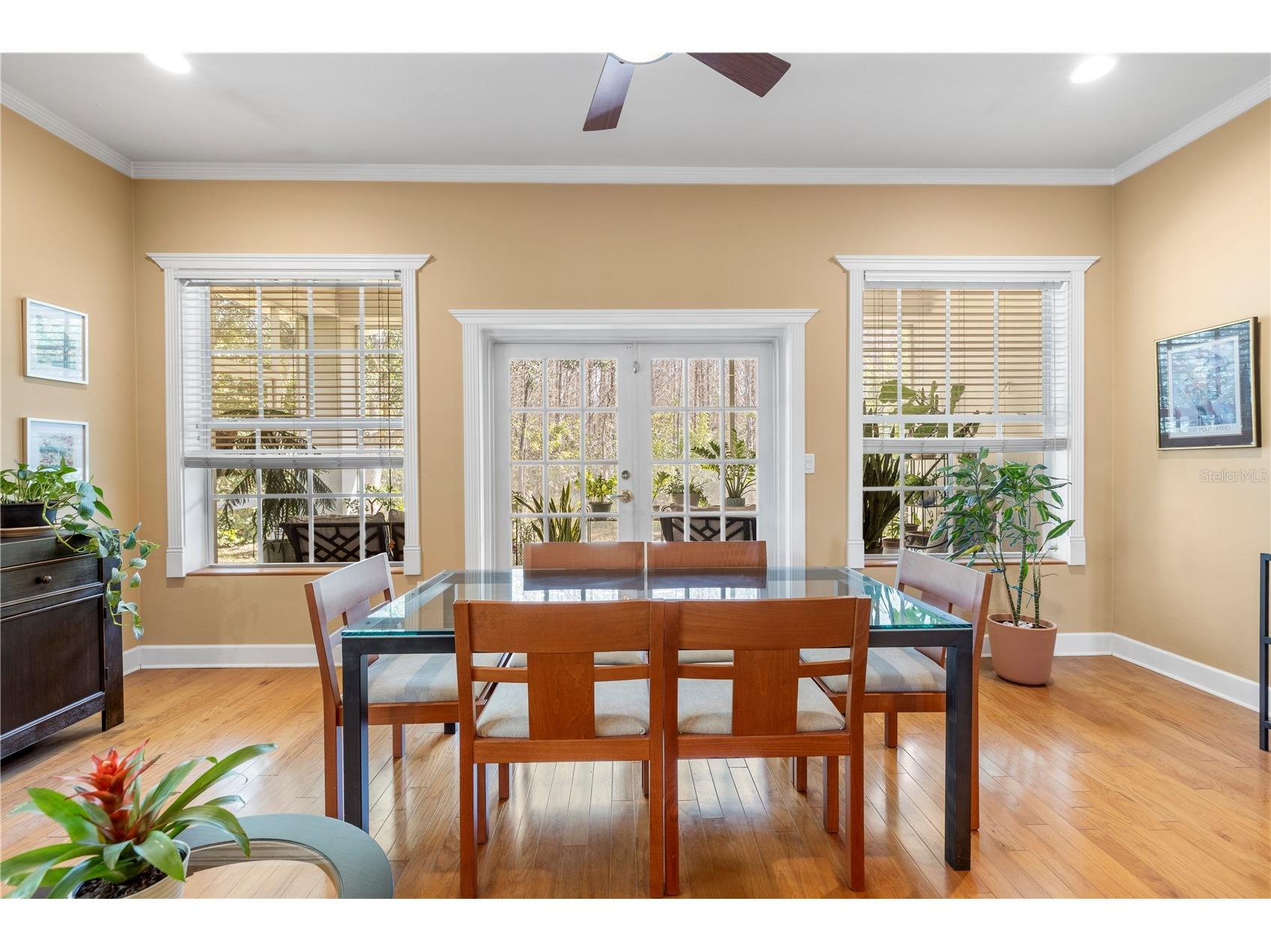 11951 Sheldon Road Tampa FL 33626 TB8472501 image14