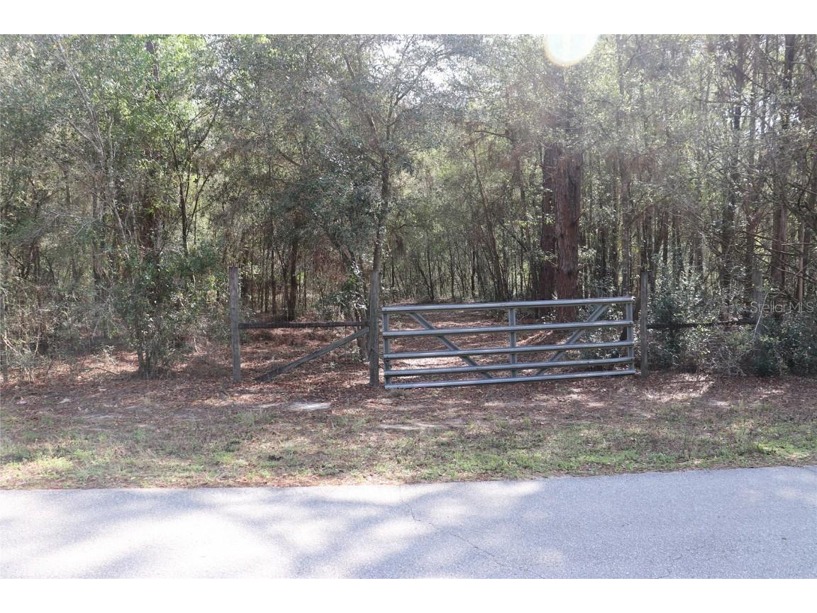 11953 N Glenview Avenue Dunnellon FL 34433 OM654220 image1