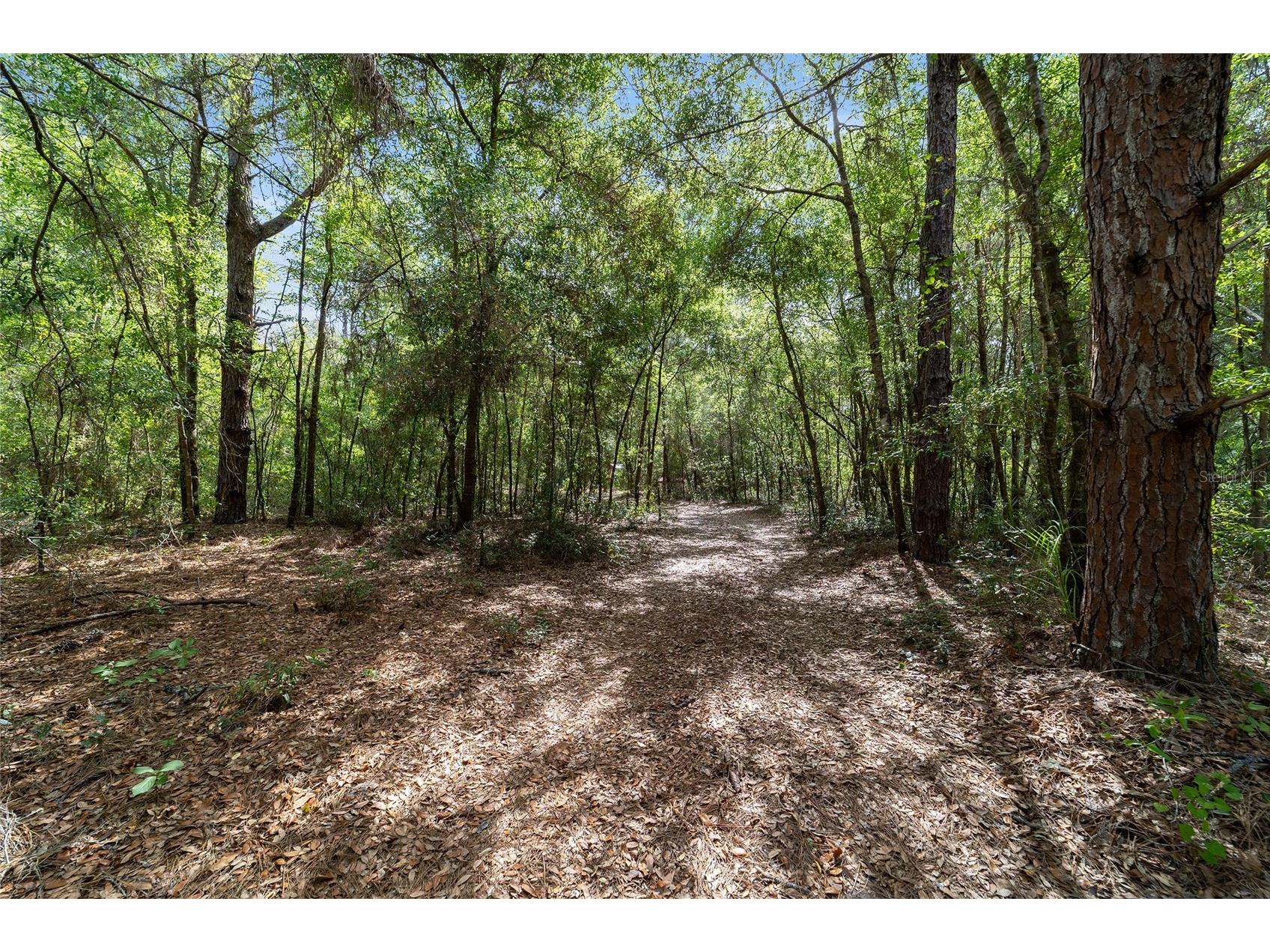 11953 N Glenview Avenue Dunnellon FL 34434 OM723767 image2