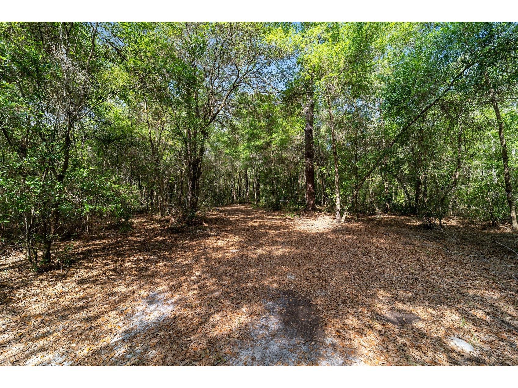 11953 N Glenview Avenue Dunnellon FL 34434 OM723767 image4