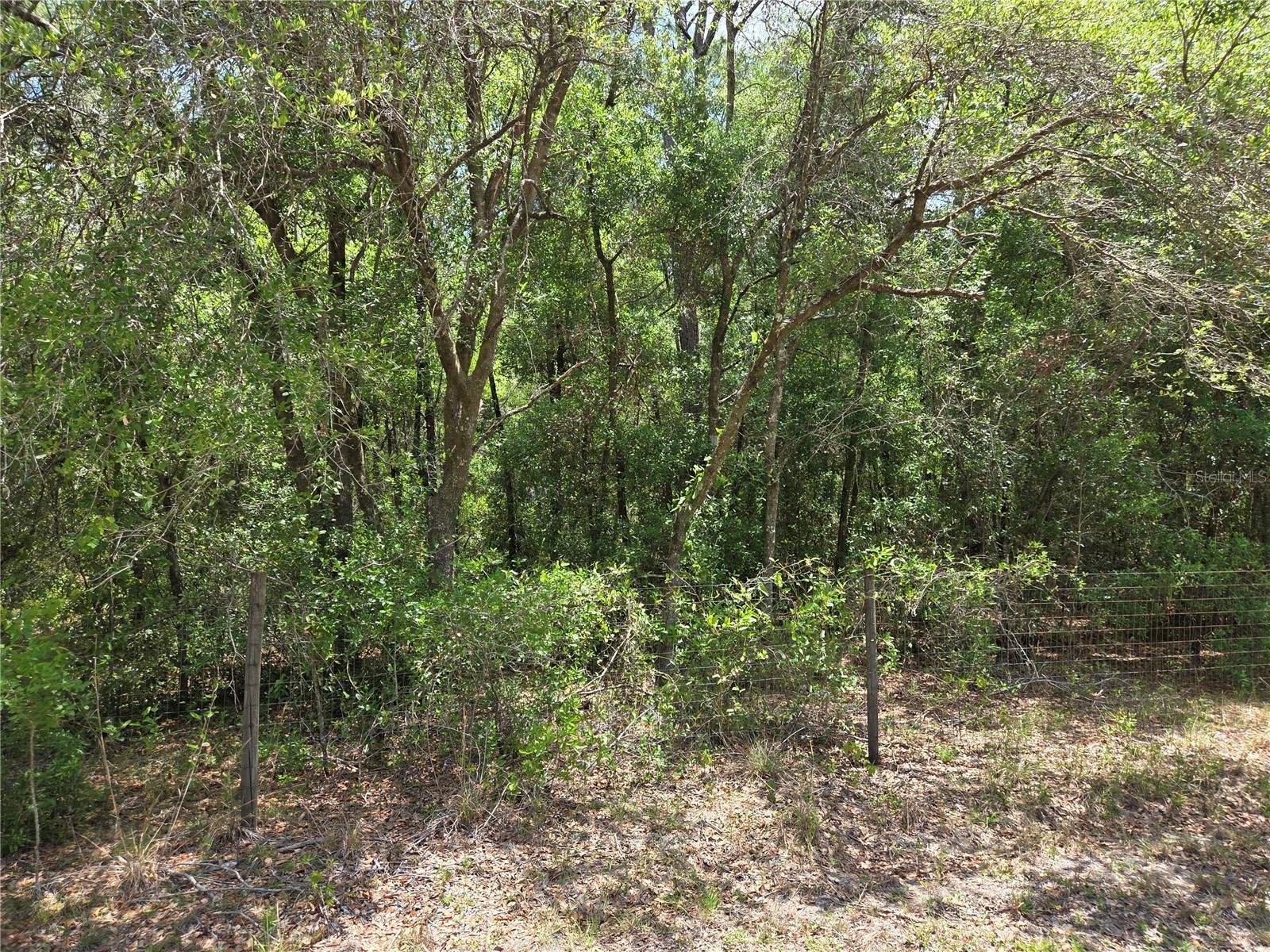11953 N Glenview Avenue Dunnellon FL 34434 OM723767 image5