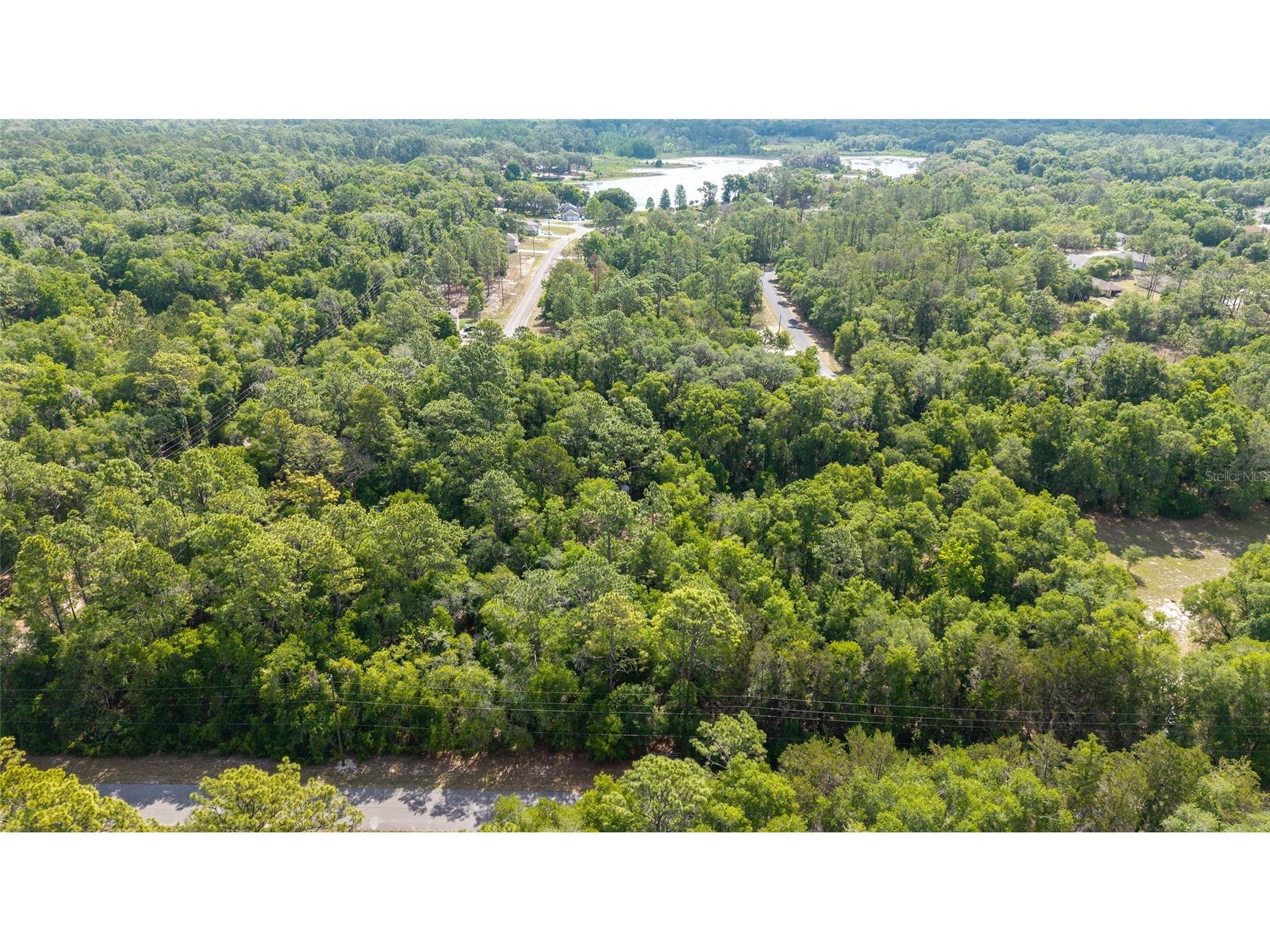 11953 N Glenview Avenue Dunnellon FL 34434 OM723767 image7