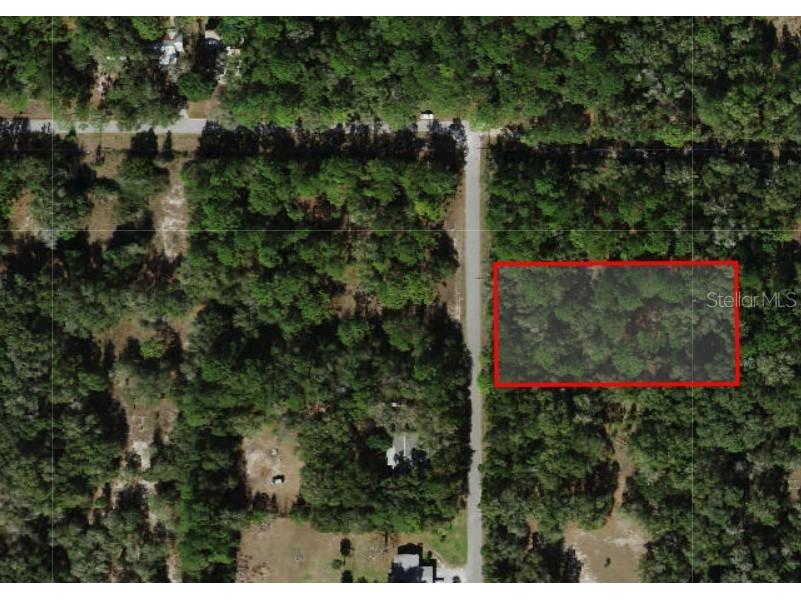 11953 N Glenview Avenue Dunnellon FL 34434 OM723767 image8