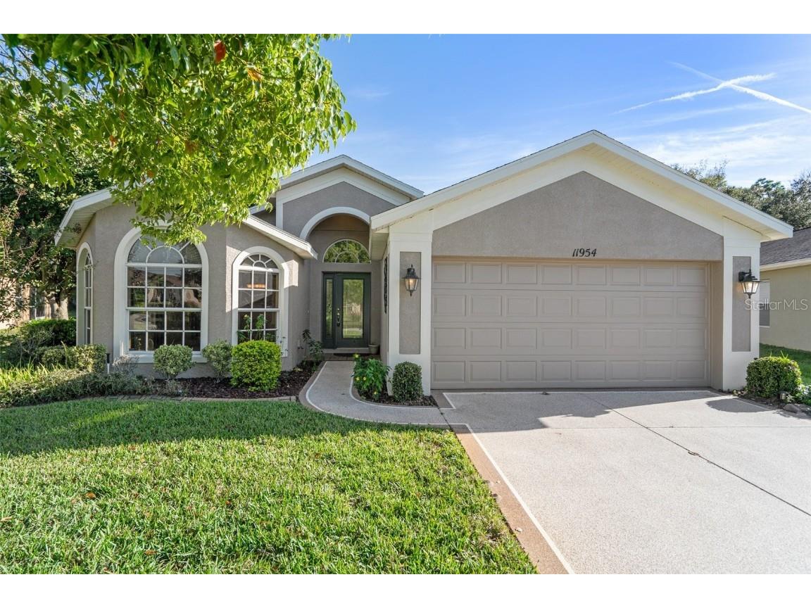 11954 Valley Falls Loop Spring Hill FL 34609 U8221797 image1